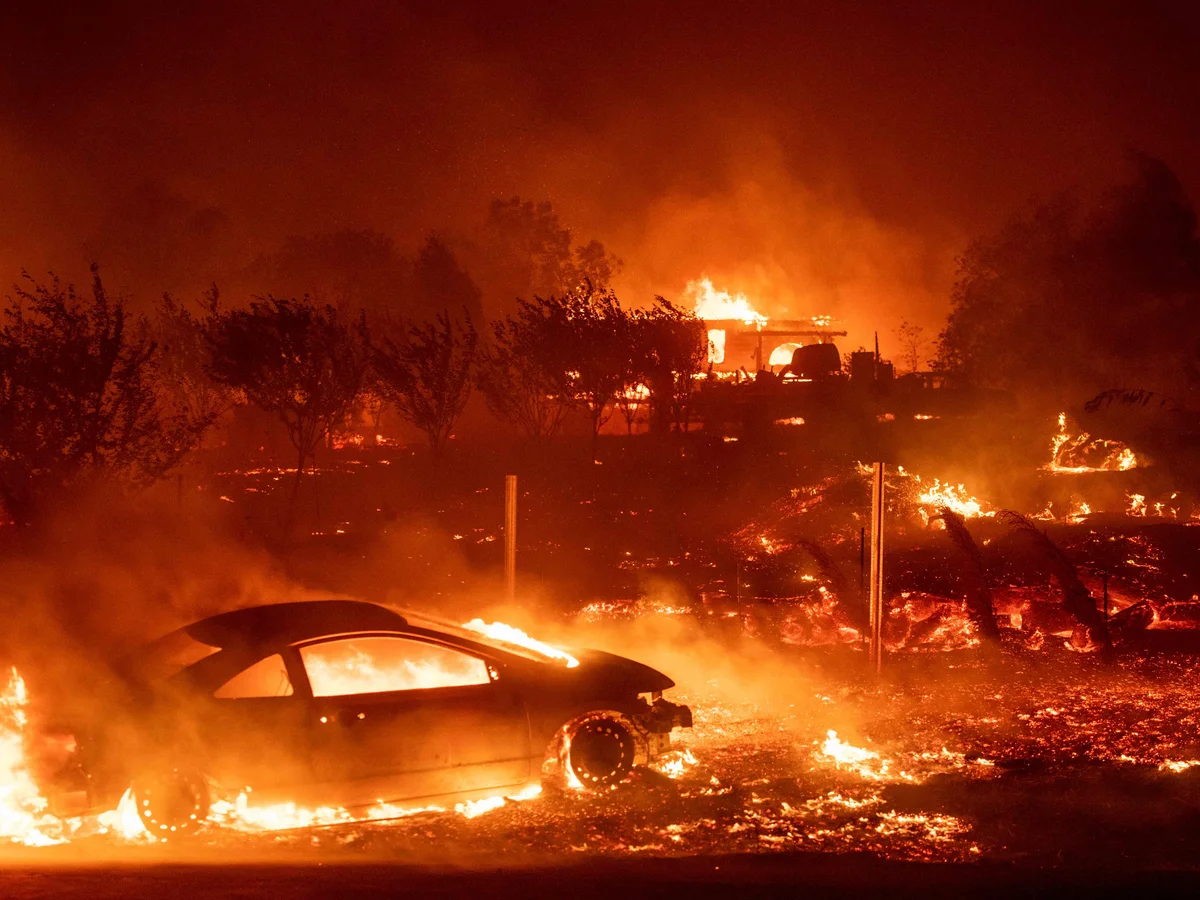 "The Cultural Significance of Burning Paradise W in Modern Society"