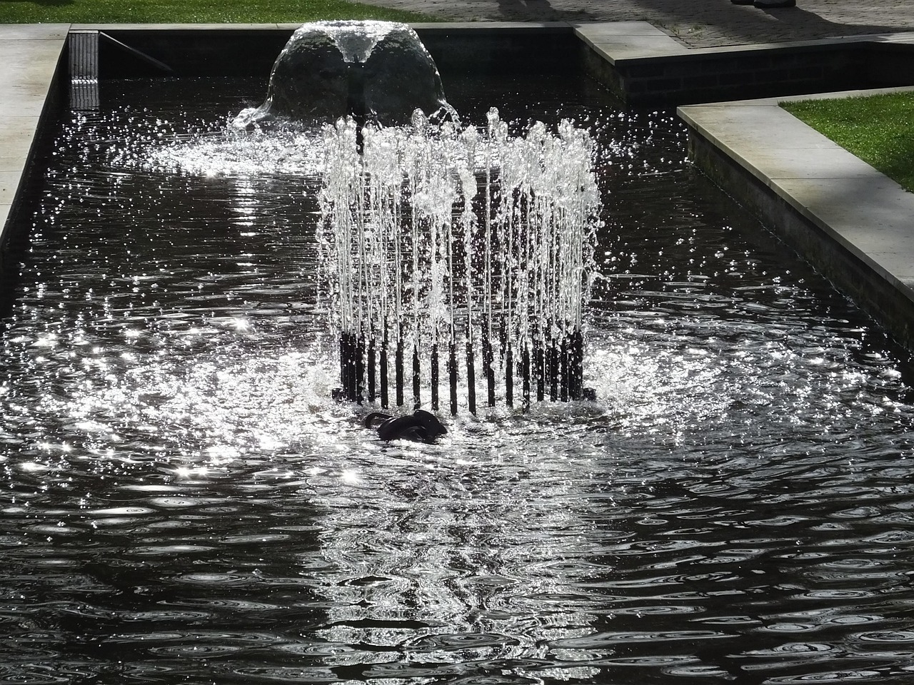 Fountain, water feature, keukenhof — How can you set up an offshore company?